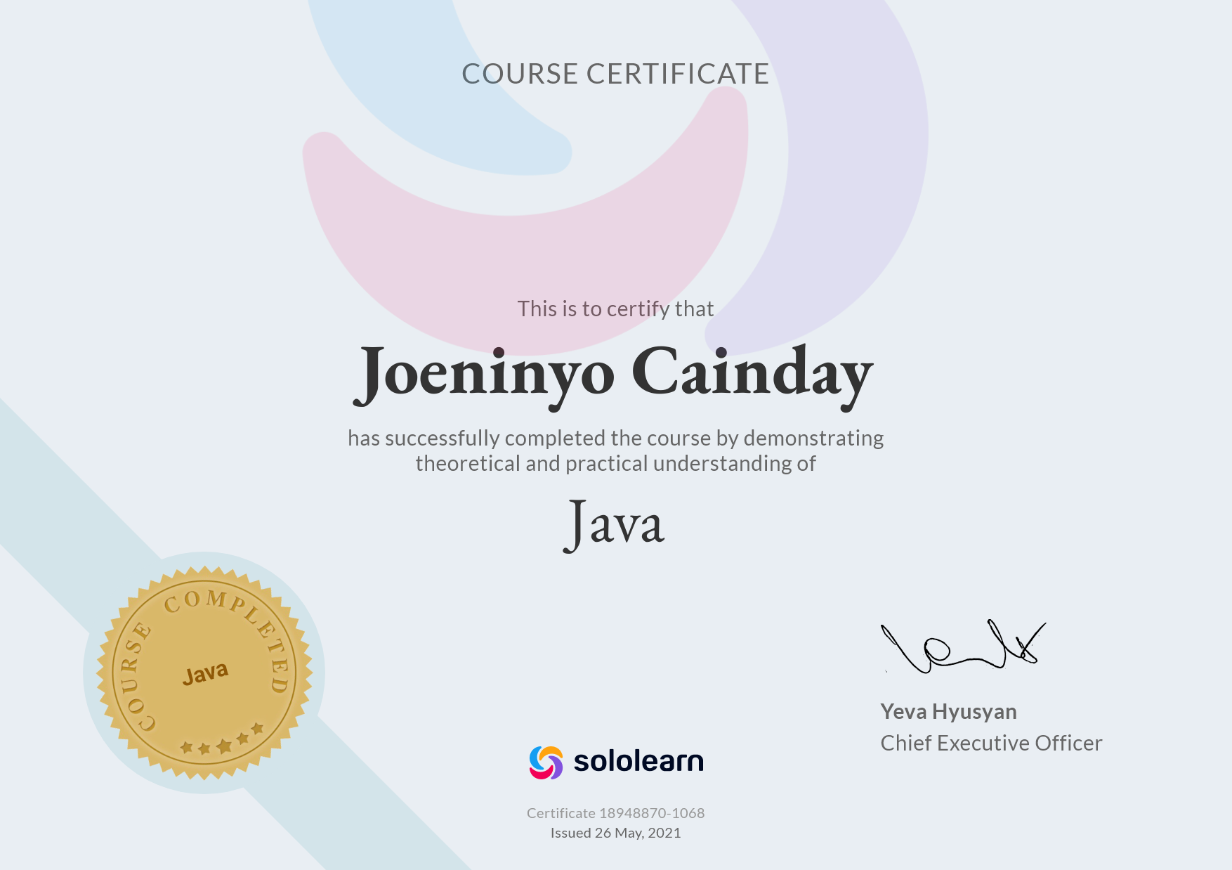 SoloLearn Java
